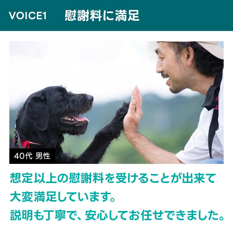 voice1