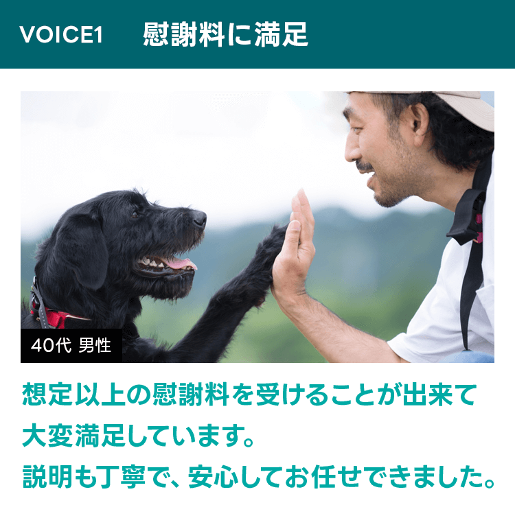 voice1